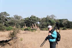 A walk on the wild side - Kruger National Park - South Africa