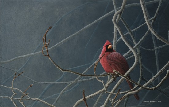 Early Arrival - Cardinal