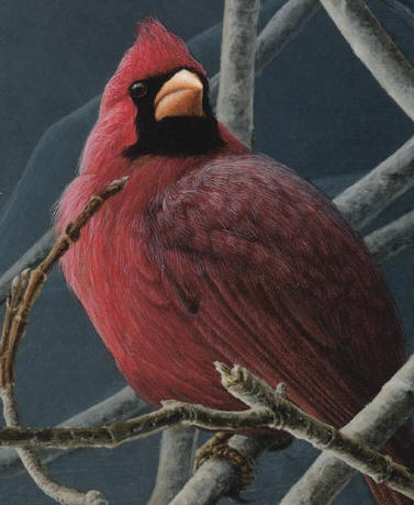 Detail of "Early Arrival - Cardinal"