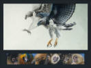 Harpy Eagle - Talons