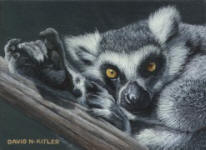 Lemur Miniature