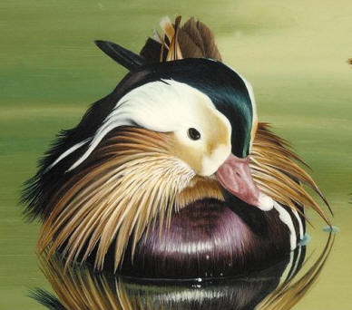 Detail of "Mandarin Ducks"