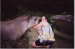 Tapir