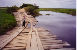 Pantanal Bridge