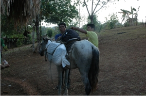 Unloading horses upon arrival in Llano Bonito